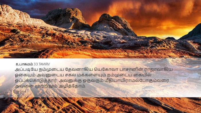 உபாகமம் 3:3 TAMIRV Bible Verse Image