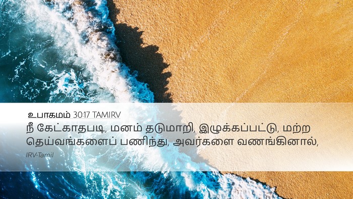 உபாகமம் 30:17 TAMIRV Bible Verse Image