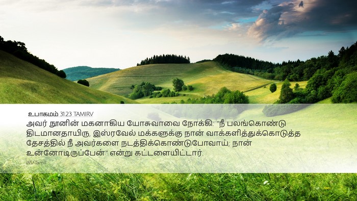 உபாகமம் 31:23 TAMIRV Bible Verse Image