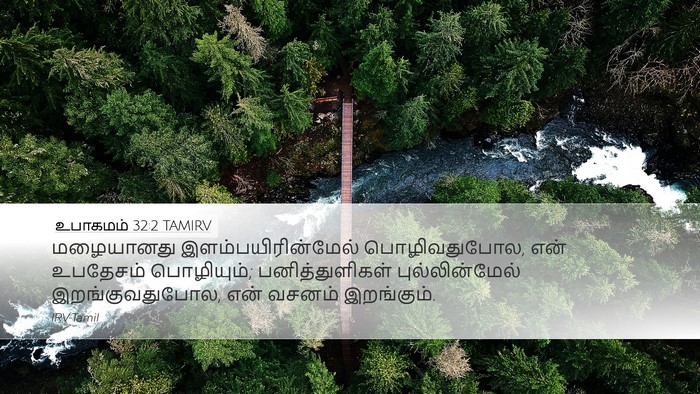 உபாகமம் 32:2 TAMIRV Bible Verse Image