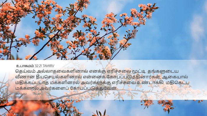 உபாகமம் 32:21 TAMIRV Bible Verse Image