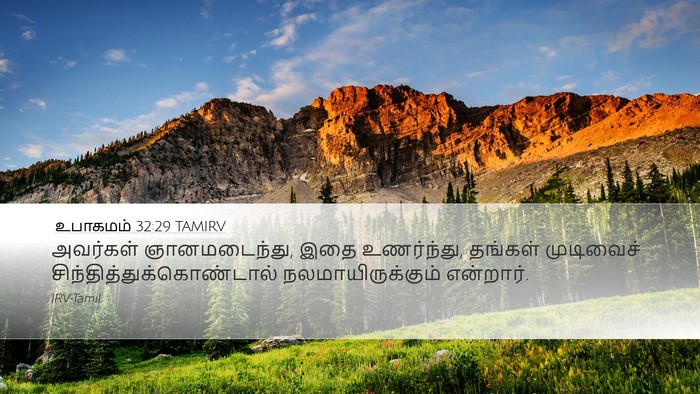 உபாகமம் 32:29 TAMIRV Bible Verse Image