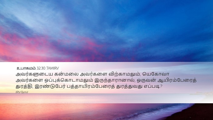 உபாகமம் 32:30 TAMIRV Bible Verse Image