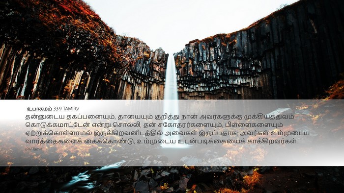 உபாகமம் 33:9 TAMIRV Bible Verse Image