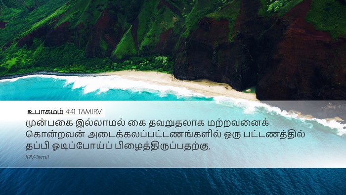 உபாகமம் 4:41 TAMIRV Bible Verse Image