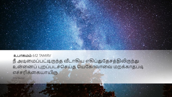 உபாகமம் 6:12 TAMIRV Bible Verse Image