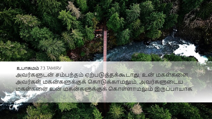 உபாகமம் 7:3 TAMIRV Desktop Wallpaper - அவர்களுடன் - Desktop Bible Verse Wallpaper