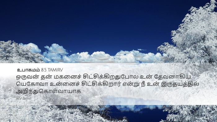 உபாகமம் 8:5 TAMIRV Bible Verse Image