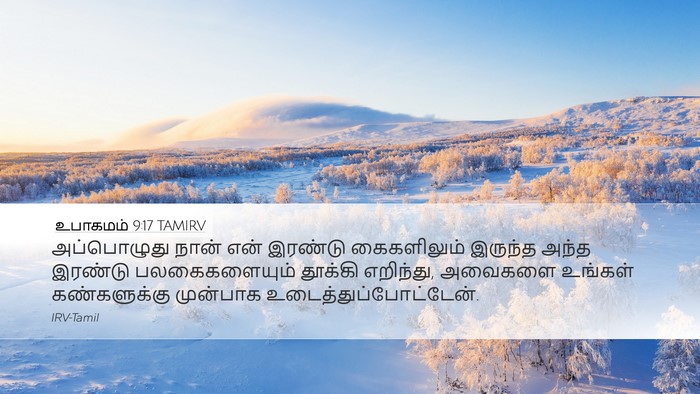உபாகமம் 9:17 TAMIRV Desktop Wallpaper - அப்பொழுது நான் - Desktop Bible Verse Wallpaper