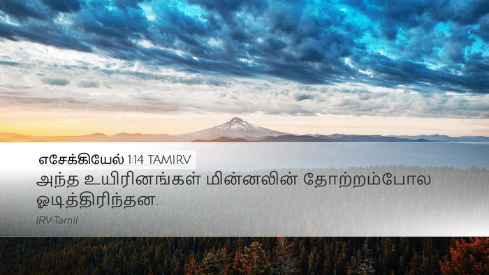 எசேக்கியேல் 1:14 TAMIRV Bible Verse Image