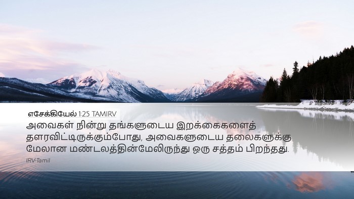 எசேக்கியேல் 1:25 TAMIRV Desktop Wallpaper - அவைகள் நின்று - Desktop Bible Verse Wallpaper