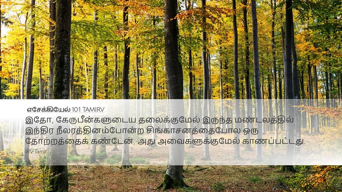 எசேக்கியேல் 10:1 TAMIRV Desktop Wallpaper - இதோ, - Desktop Bible Verse Wallpaper