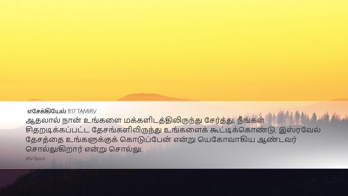 எசேக்கியேல் 11:17 TAMIRV Bible Verse Image