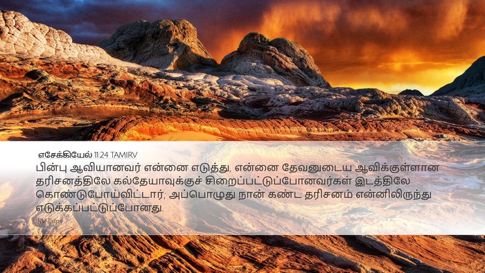 எசேக்கியேல் 11:24 TAMIRV Bible Verse Image