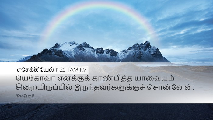 எசேக்கியேல் 11:25 TAMIRV Bible Verse Image