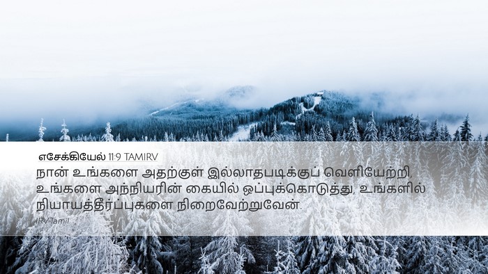 எசேக்கியேல் 11:9 TAMIRV Bible Verse Image
