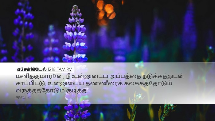 எசேக்கியேல் 12:18 TAMIRV Bible Verse Image