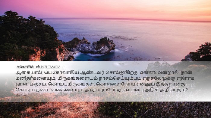 எசேக்கியேல் 14:21 TAMIRV Bible Verse Image