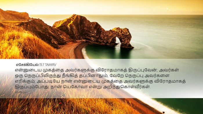 எசேக்கியேல் 15:7 TAMIRV Bible Verse Image