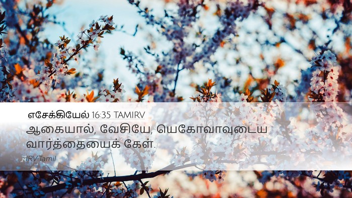 எசேக்கியேல் 16:35 TAMIRV Desktop Wallpaper - ஆகையால், வேசியே, - Desktop Bible Verse Wallpaper