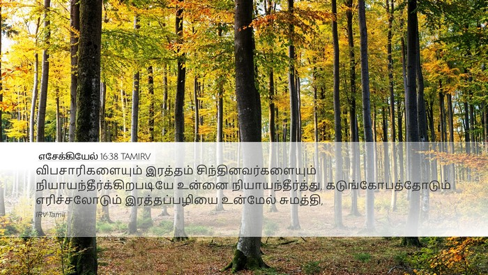 எசேக்கியேல் 16:38 TAMIRV Bible Verse Image