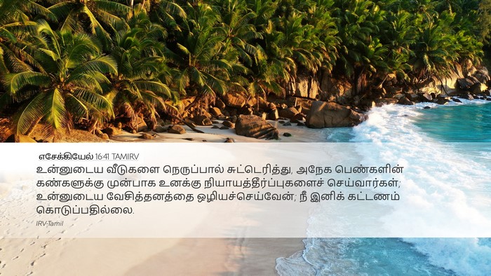 எசேக்கியேல் 16:41 TAMIRV Bible Verse Image