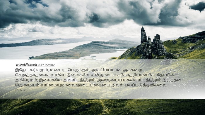 எசேக்கியேல் 16:49 TAMIRV Bible Verse Image