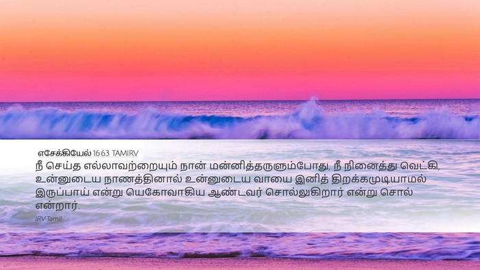 எசேக்கியேல் 16:63 TAMIRV Bible Verse Image