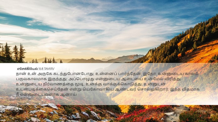 எசேக்கியேல் 16:8 TAMIRV Bible Verse Image