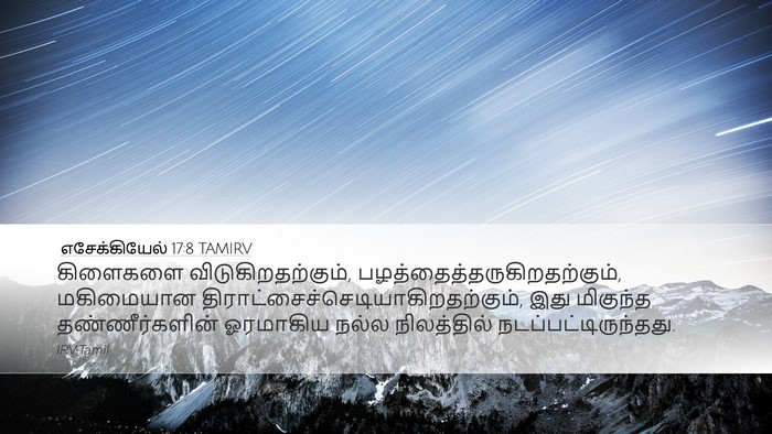 எசேக்கியேல் 17:8 TAMIRV Desktop Wallpaper - கிளைகளை - Desktop Bible Verse Wallpaper
