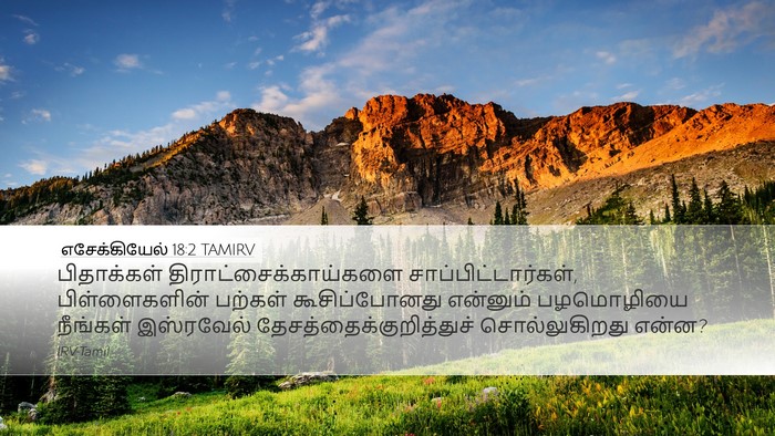 எசேக்கியேல் 18:2 TAMIRV Bible Verse Image