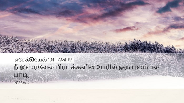 எசேக்கியேல் 19:1 TAMIRV Desktop Wallpaper - நீ இஸ்ரவேல் - Desktop Bible Verse Wallpaper