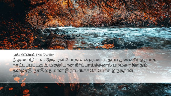 எசேக்கியேல் 19:10 TAMIRV Bible Verse Image