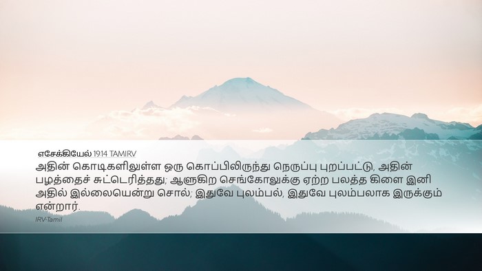 எசேக்கியேல் 19:14 TAMIRV Bible Verse Image
