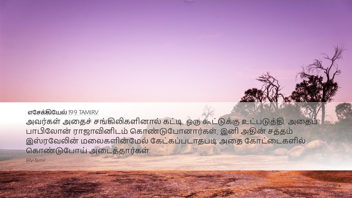 எசேக்கியேல் 19:9 TAMIRV Bible Verse Image