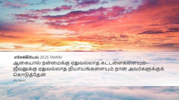 எசேக்கியேல் 20:25 TAMIRV Bible Verse Image