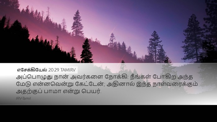 எசேக்கியேல் 20:29 TAMIRV Desktop Wallpaper - அப்பொழுது நான் - Desktop Bible Verse Wallpaper