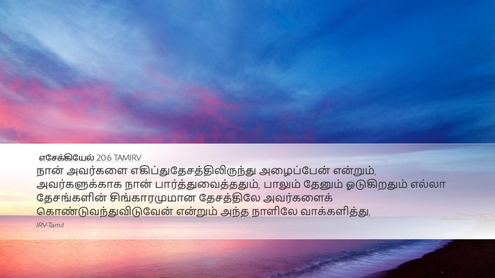 எசேக்கியேல் 20:6 TAMIRV Bible Verse Image