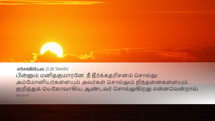 எசேக்கியேல் 21:28 TAMIRV Bible Verse Image