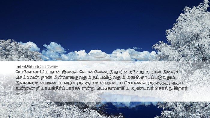 எசேக்கியேல் 24:14 TAMIRV Bible Verse Image