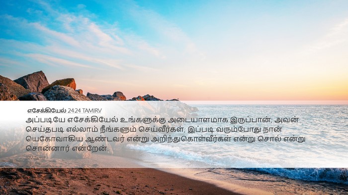 எசேக்கியேல் 24:24 TAMIRV Bible Verse Image