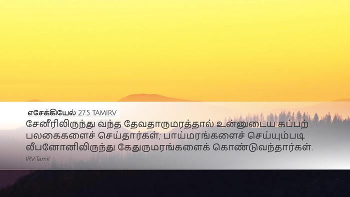 எசேக்கியேல் 27:5 TAMIRV Bible Verse Image