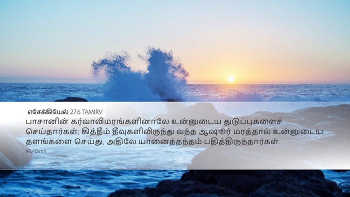 எசேக்கியேல் 27:6 TAMIRV Bible Verse Image