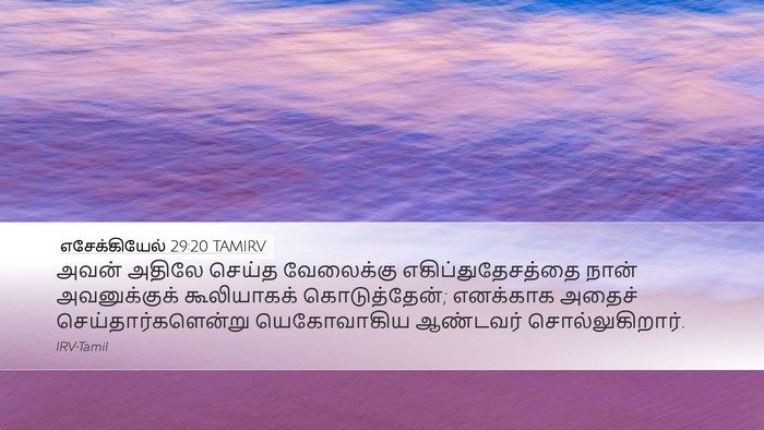 எசேக்கியேல் 29:20 TAMIRV Desktop Wallpaper - அவன் அதிலே செய்த - Desktop Bible Verse Wallpaper