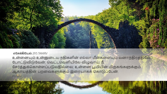 எசேக்கியேல் 29:5 TAMIRV Bible Verse Image