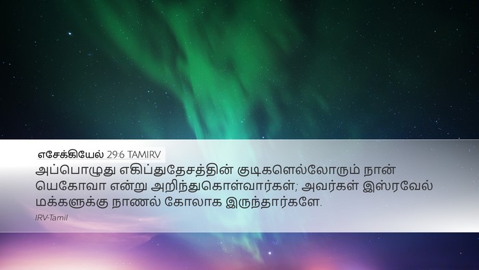 எசேக்கியேல் 29:6 TAMIRV Bible Verse Image