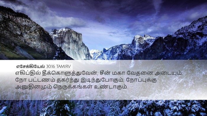 எசேக்கியேல் 30:16 TAMIRV Bible Verse Image