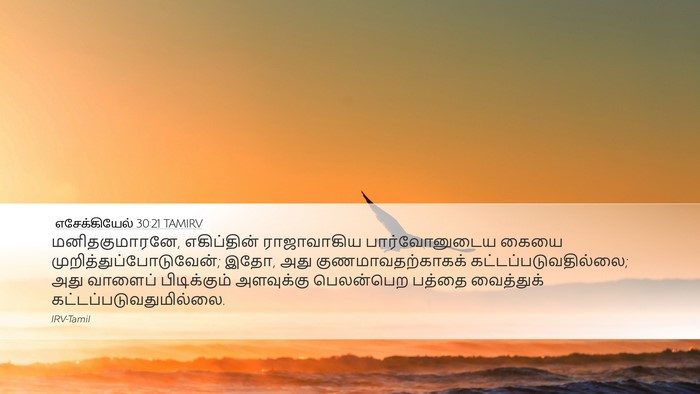 எசேக்கியேல் 30:21 TAMIRV Bible Verse Image