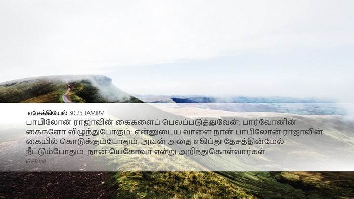 எசேக்கியேல் 30:25 TAMIRV Bible Verse Image
