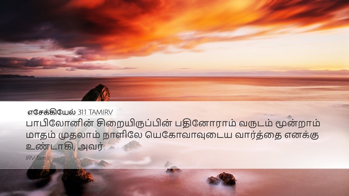 எசேக்கியேல் 31:1 TAMIRV Bible Verse Image